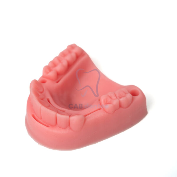 BỘ 4 MÔ HÌNH TẬP KHÂU NHA CHU - Hình ảnh 4