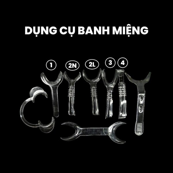 Banh miệng nha khoa các loại