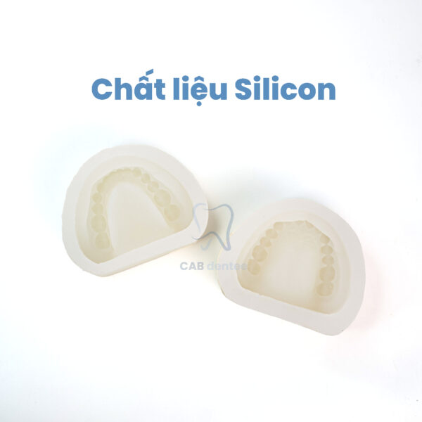 Mould răng Khuôn đổ mẫu hàm Silicone cao cấp - Hình ảnh 3