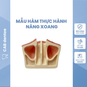 MẪU HÀM THỰC HÀNH NÂNG XOANG