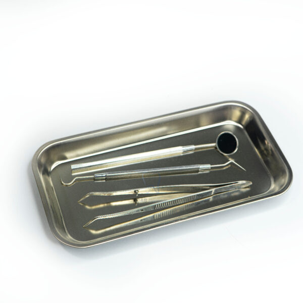 KHAY CHỮ NHẬT INOX - MÂM KHÁM - Hình ảnh 2