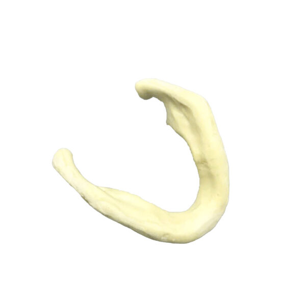 XƯƠNG HÀM THỰC HÀNH CẤY GHÉP CẮM IMPLANT - Hình ảnh 2