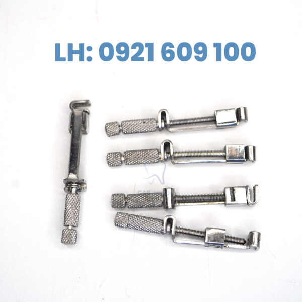 CÂY GIỮ KHUÔN TRÁM RĂNG - Hình ảnh 4