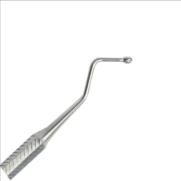 CÂY NHỒI TRÁM 2 ĐẦU - Hình ảnh 2