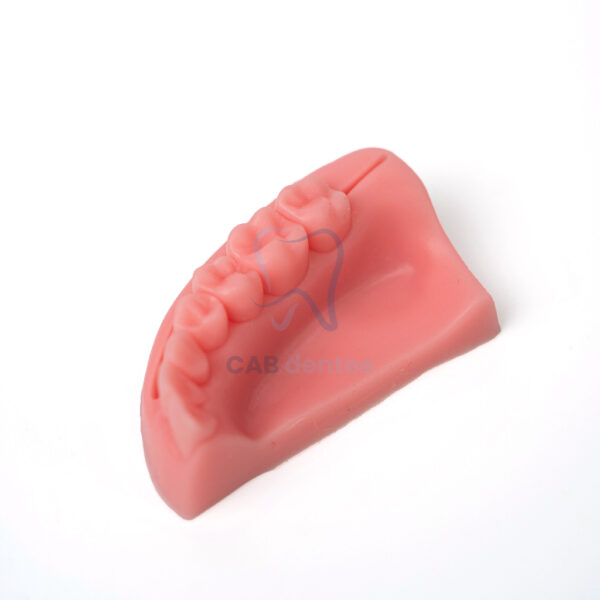 BỘ 4 MÔ HÌNH TẬP KHÂU NHA CHU - Hình ảnh 3
