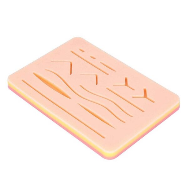 MÔ HÌNH TẬP KHÂU SILICONE - Hình ảnh 2