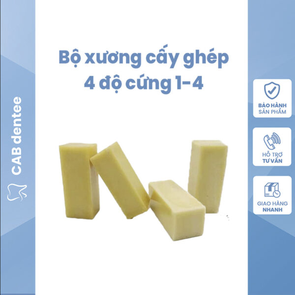 Bộ 4 cục xương thực hành cấy ghép cắm Implant