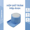 Hộp gài làm sạch trâm nội nha có mút hấp được