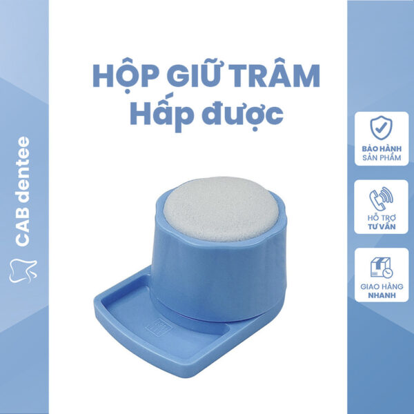 Hộp gài làm sạch trâm nội nha có mút hấp được