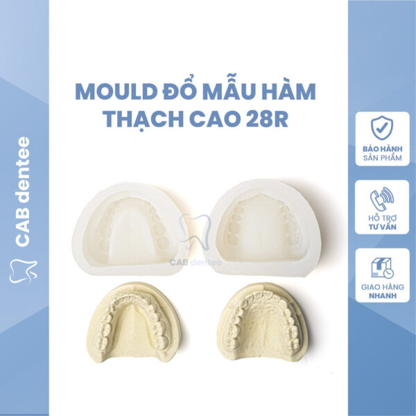 Mould răng Khuôn đổ mẫu hàm Silicone cao cấp