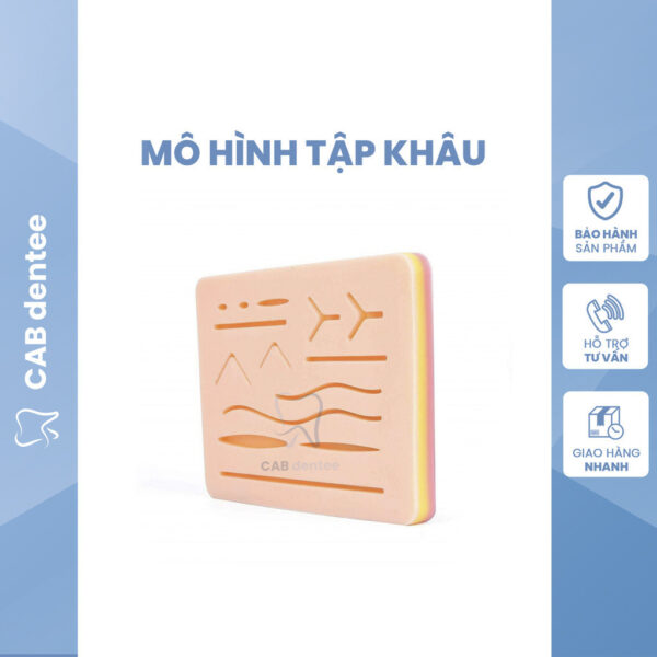 MÔ HÌNH TẬP KHÂU SILICONE
