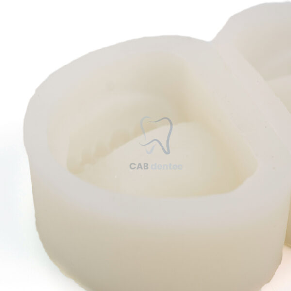 Mould răng Khuôn đổ mẫu hàm Silicone cao cấp - Hình ảnh 4