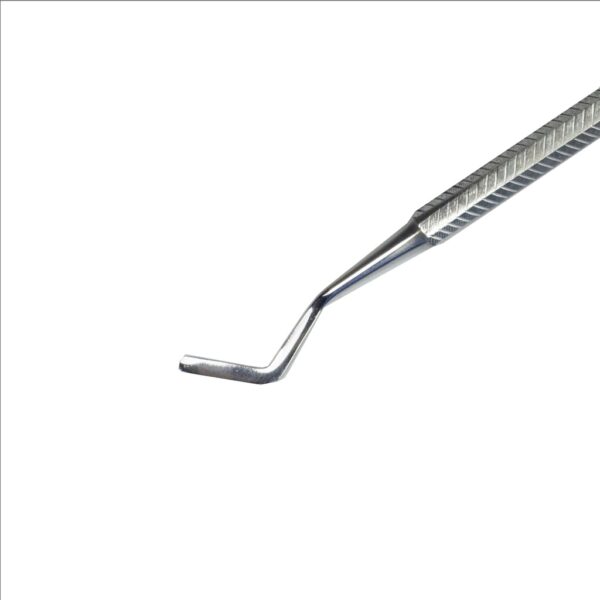 CÂY NHỒI TRÁM 2 ĐẦU - Hình ảnh 3