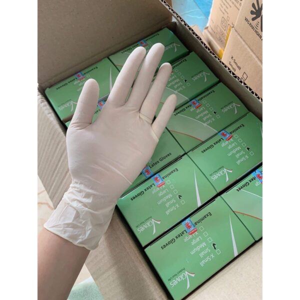 GĂNG TAY Y TẾ GLOVES KHÔNG BỘT - Trắng - Cam kết chính hãng - Hình ảnh 2