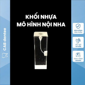 Khối Nhựa Mô Hình Thực Hành Nội Nha Chuyên Dụng