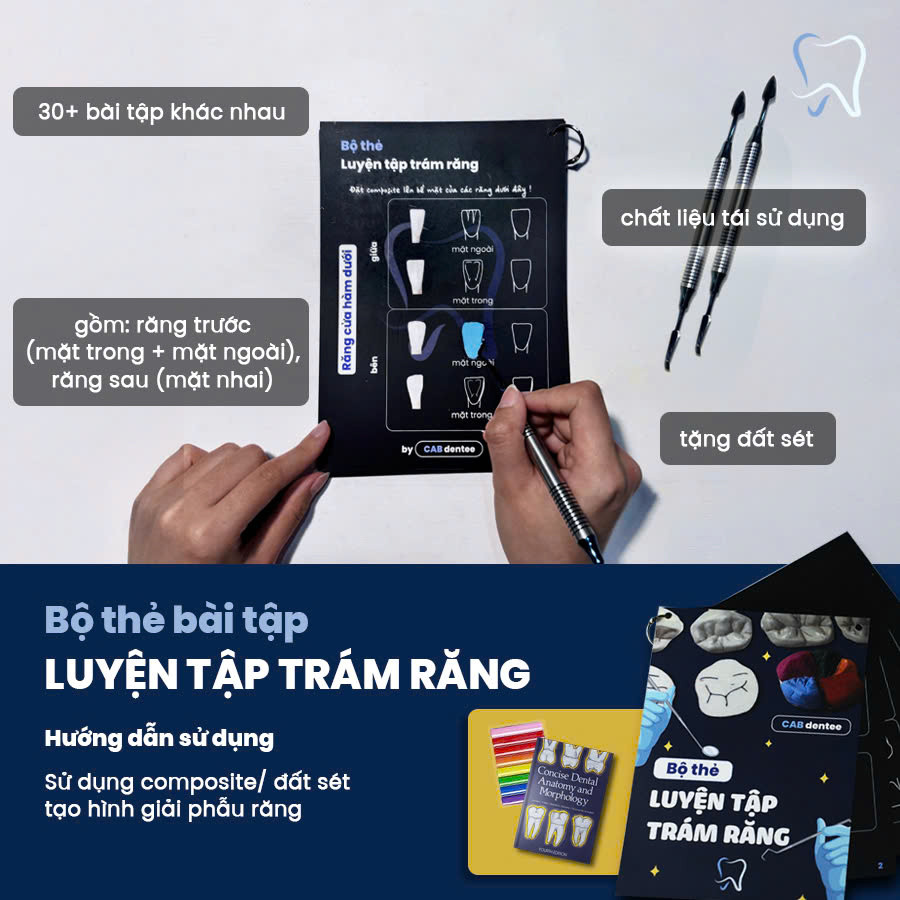 Bộ 3 Thẻ Bài Tập Thực Hành Trám Răng - Cab Dentee - Hình ảnh 2