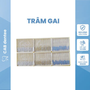 Trâm gai kim gai Tài