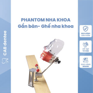 PHANTOM Thực hành nhiều loại, gắn mặt bàn gắn ghế nha khoa kèm hàm