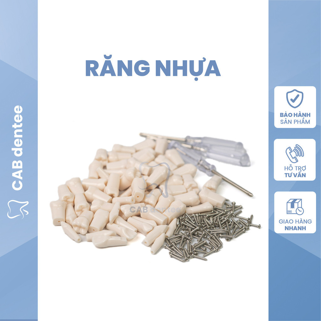 Răng nhựa thực hành nha khoa mài cùi Răng nhựa thực hành nha khoa mài cùi