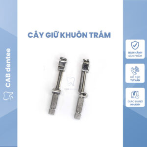 CÂY GIỮ KHUÔN TRÁM RĂNG