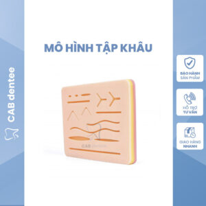MÔ HÌNH TẬP KHÂU SILICONE