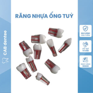 Răng nhựa ống tuỷ