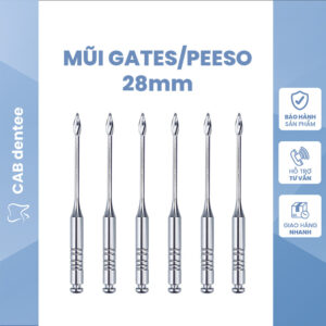 Mũi Gates Drills - Peeso Dreamers