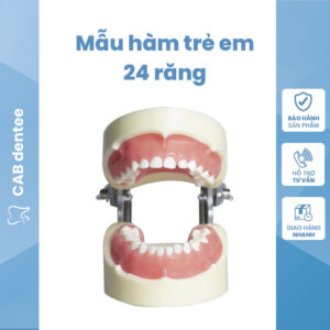 Mẫu Hàm Nhựa 24 Răng Trẻ Em – Chuẩn Thực Hành Nha Khoa