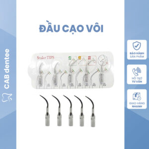 Vỉ 5 mũi cạo vôi - Mũi lấy cao răng