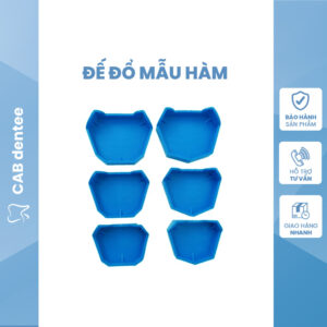 Đế Đổ Mẫu Hàm Thạch Cao - Cặp Trên Dưới