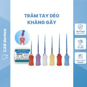 Trâm Tay Nội Nha NICEDEN - Trâm Dẻo Kháng Gãy