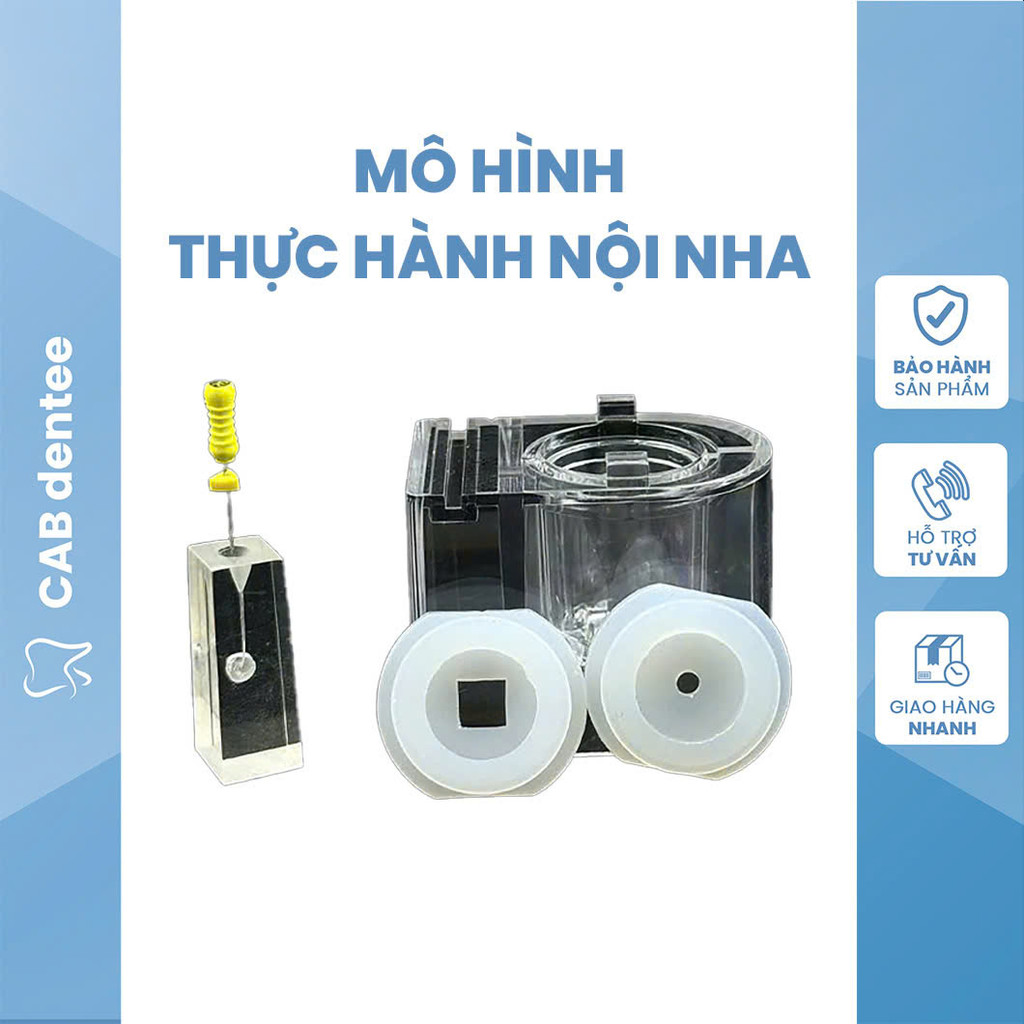 Mô Hình Thực Hành Nội Nha Mô Hình Thực Hành Nội Nha